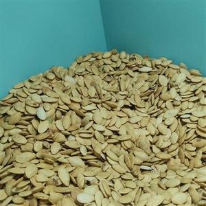 تخم کدو دو آتیشه