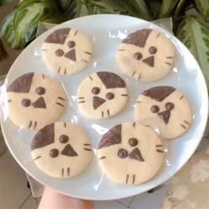 کوکی خانگی مدل جغدباکاورشکلاتی،بدون موادنگهدارنده