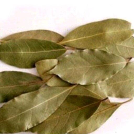برگ بو فله ای