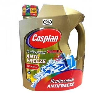 ضدیخ کاسپین مدل Professional Anti Freeze حجم 4 لیتر