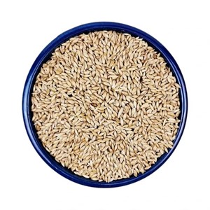 تخم کتان درجه 1مخصوص پرندگان