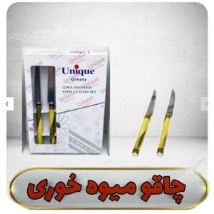 چاقو میوه خوری یونیک آلمان بسته 12 تایی 