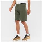 شلوارک مردانه سالومون WAYFARER SHORTS M 176200