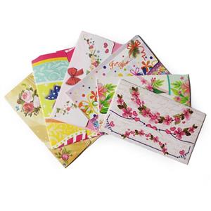 پاکت سکه ۱۷۰ گرمی گلاسه مدل شاین دار