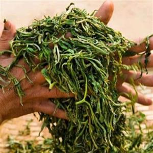 چای دستی محلی 1402 یک کیلویی ساقه دار