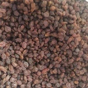 کشمش افتاب خشک ارگانیک