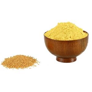 پودرخردل زرد 100 گرم چاشنی خاتون