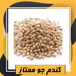 جو ممتاز (800 گرم) طبعی  نو
