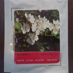 بذر گل رز مولتی فلورا پاکت کوچک خانگی