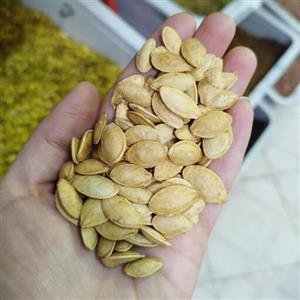 تخمه کدو دوآتیشه ایرانی خوشطعم تازه(یک کیلو) دواتیشه