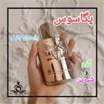 عطر ادکلن مارلی پگاسوس مردانه(قبل از سفارش توضیحات مطالعه شود.عطر ایران رایحه) 