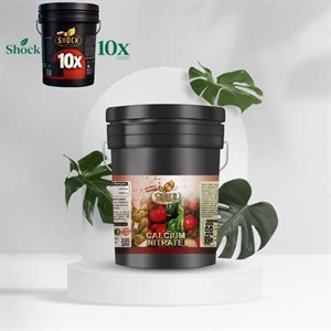 کود نیترات کلسیم شوک 20 لیتری