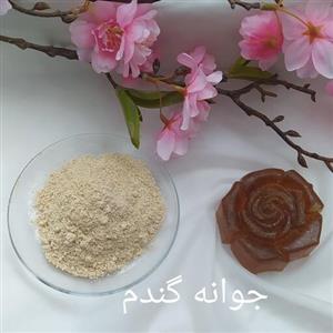 صابون جوانه گندم لوندربارایحه لوندروزن 90گرم 