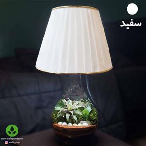 آباژور با گل تراریوم طبیعی