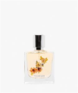 عطر زنانه کوتون Koton مدل  Delicate Bloom