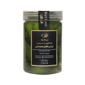ترشی فلفل همدانی (400 گرم خالص) نات لاین \