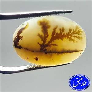 نگین عقیق شجر تک درخت قاینات