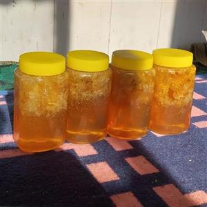 عسل وحشی زنبور ریز 