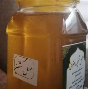 عسل تسنیم رضوی گشنیز 1 کیلویی