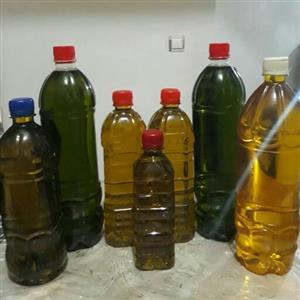 روغن زیتون محلی(بوداروبی بو)