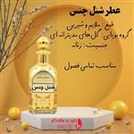 عطر شنل چنس زنانه جذاب شیشه 10 گرمی 