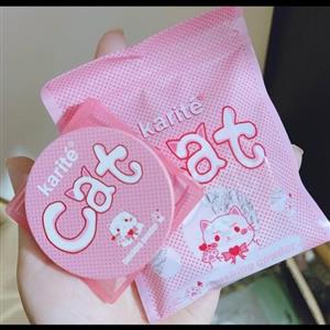 پودر فیکس فشرده کاریته