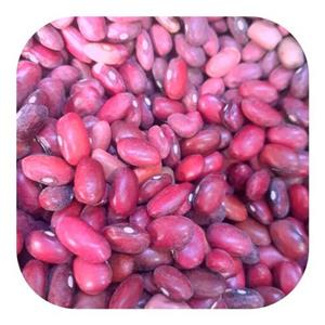 لوبیا قرمز ( 1 کیلوگرمی ) فروشگاه وشگی