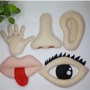 حواس پنجگانه نمدی