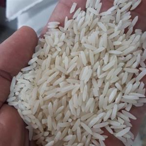 برنج طارم ندا محلی