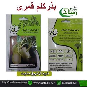 بذروتخم کلم قمری تبریز رستاک 10گرمی 