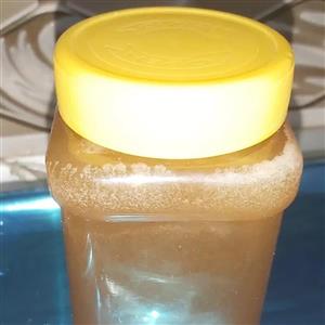 عسل  وحشی صخره زنبور ریز بهاره بی نظیر