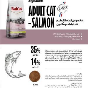 غذای خشک گربه سالمون (8 کیلوگرمی 