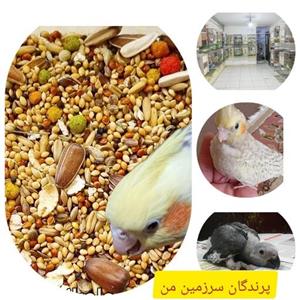 دان مخلوط طوطی سانان همراه پلت تخمه وزن یک کیلو