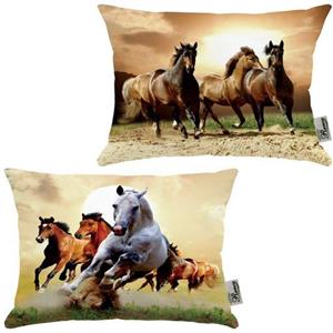 کوسن 2 عددی مخمل رنس مدل R21-10051-10852 سایز 47x33 سانتی متر