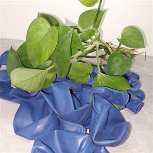 بادکنک لاتکس آبی کاربنی