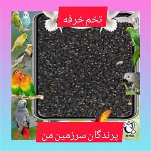 تخم خرفه 150گرمی درجه یک