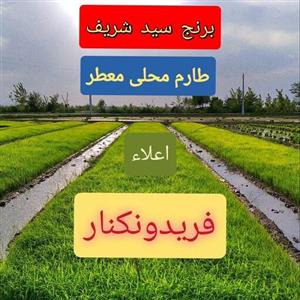 برنج سید شریف (طارم محلی معطر)فریدونکنار در بسته 5 کیلویی 