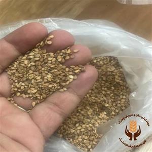 کنجد قهوه ای (سودان) 25 کیلویی درجه 1 پاک شده