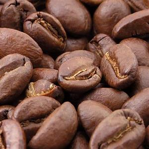 دانه قهوه عربیکا سوپریمو تازه برشت مدیوم اسکرین 19  کشور کلمبیا 1 کیلوگرمی