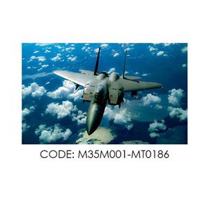 پادری نوجوان مدل جت جنگنده در آسمان