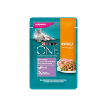 پوچ گربه پورینا وان گوارش های حساس (purina one)