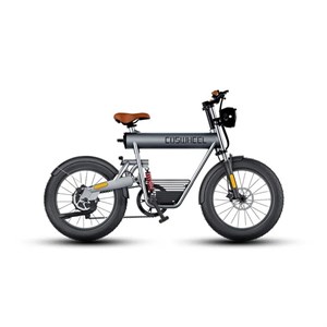 دوچرخه برقی آفرود کاسویل مدل T20R Coswheel