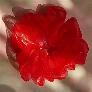 کش مو اسکرانچی توری نازک
