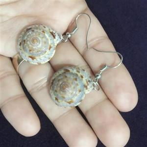 گوشواره صدف حلزونی
