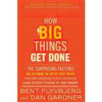 کتاب زبان اصلی How Big Things Get Done اثر Bent FlyvbjergDan Gardner