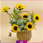 Sunflower Shine Basket (طرح بین الملل کلاسیک) 