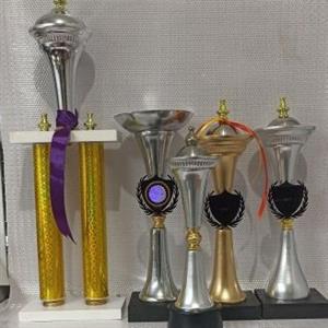 کاپ و تندیس ورزشی