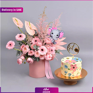 New Born Girl Flowers And Cake ارسال به دبی و امارات 