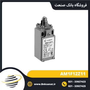 میکروسوئیچ کامپی ایتالیا ( COMEPI ) مدل AM1F12Z11