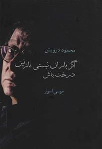 اگر باران نیستی نازنین درخت باش (سخن)